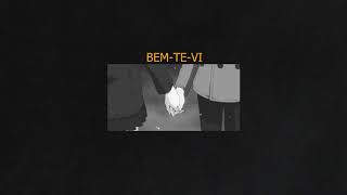 Bem-Te-Vi Music Video