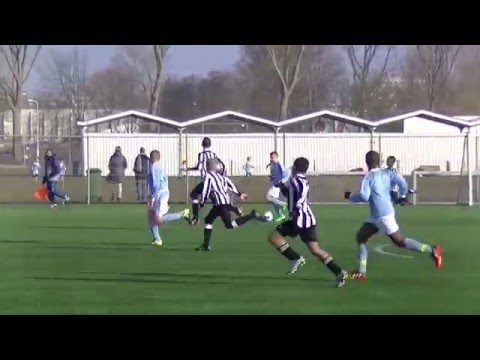 Samenvatting Hermes DVS D2 -  Zwaluwen D4