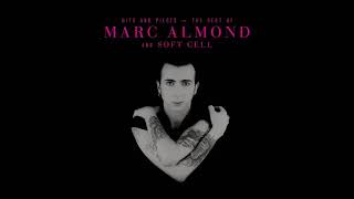 The Best Marc Almond Love Songs!