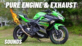 Ninja 400 PURE ENGINE & EXHAUST NOISE | LeoVince Exhaust, FlyBys, Cold Start & Revving