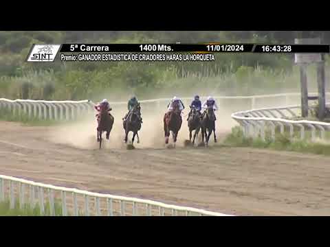 11/01/2024 – Hipodromo Colonia – Carr 5 – GANADOR ESTADISTICA DE CRIADORES HARAS LA HOR...