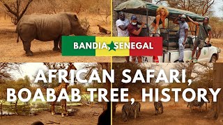 Bandia Reserve Safari Travel Vlog Senegal | Giraffes, Rhinos, Zebras & Antelopes