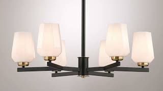 1_Watch A Video About the Possini Euro Jeremiah Black and Gold 6 Light Chandelier