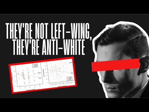 They're Not Left Wing, They're Anti White