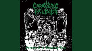 The Covenant of Gore