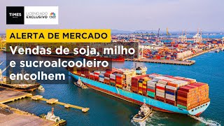 Exportações do agro brasileiro recuam 5,3% em janeiro de 2025