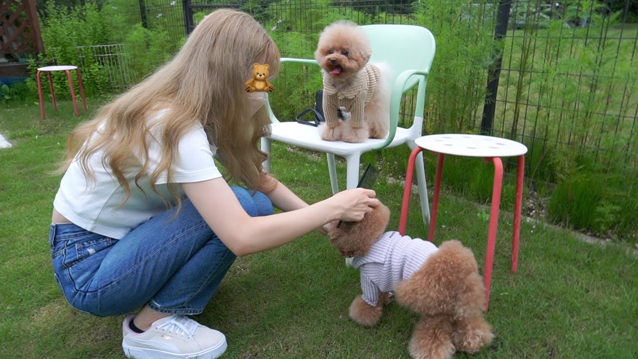わんちゃんのオリジナル服製作👕カメラマンと撮影してきた！