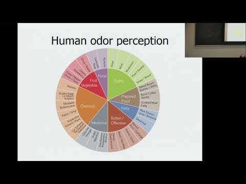 Hyperbolic geometry of the olfactory space