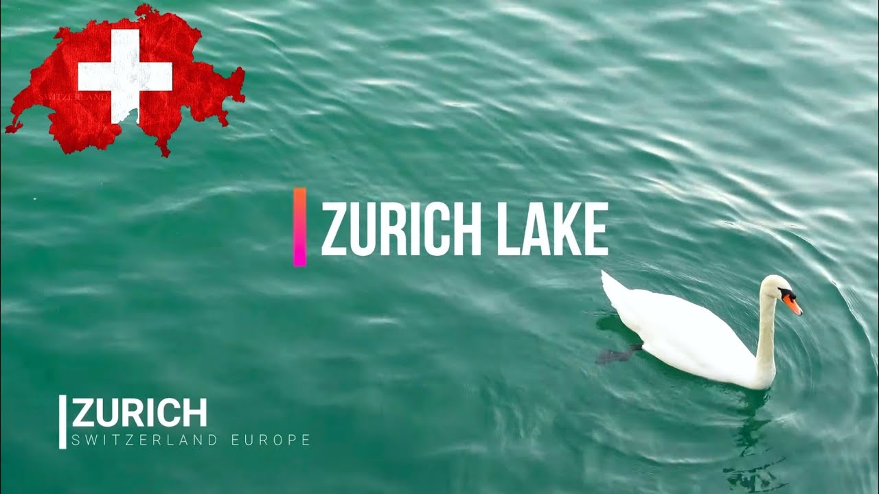 Discover the tranquil rhythm of Lake Zurich's gentle waves and picturesque shores.