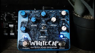 Video thumbnail for Old Blood Noise Endeavors WhiteCap Asynchronous Dual Tremolo Demo by The Pedal Zone