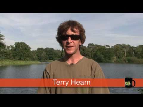 Terry Hearn's Top Tips