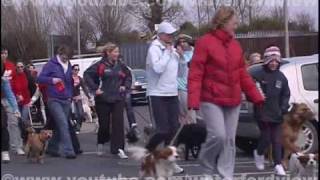 preview picture of video 'National Dog Walk 2010 Waterford'