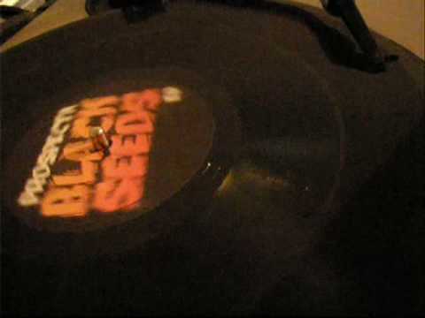 Prospecta - Everybody Needs