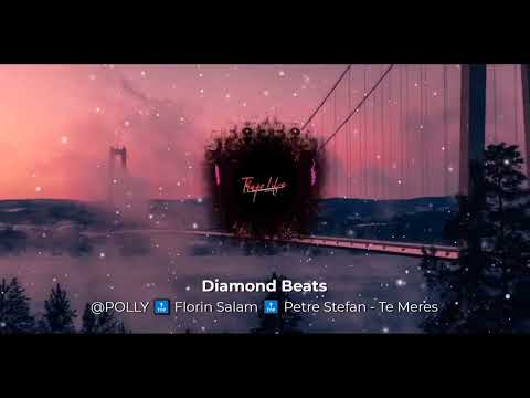 Polly-Petre Stefan-Florin Salam TE MERES | SPEED UP SONG