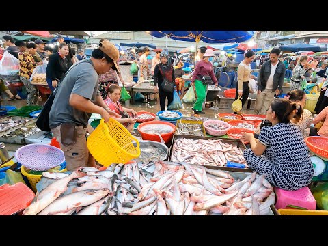 Best Wholesale Fish Market & Seafood In Cambodia - Massive Fish Distribution Site & Vendors Life