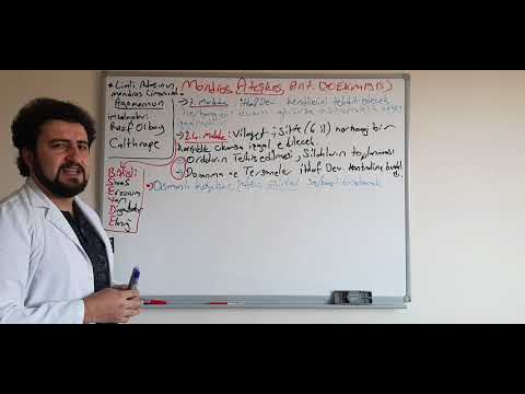 MONDROS ATEŞKES ANTLAŞMASI (30 EKİM 1918)