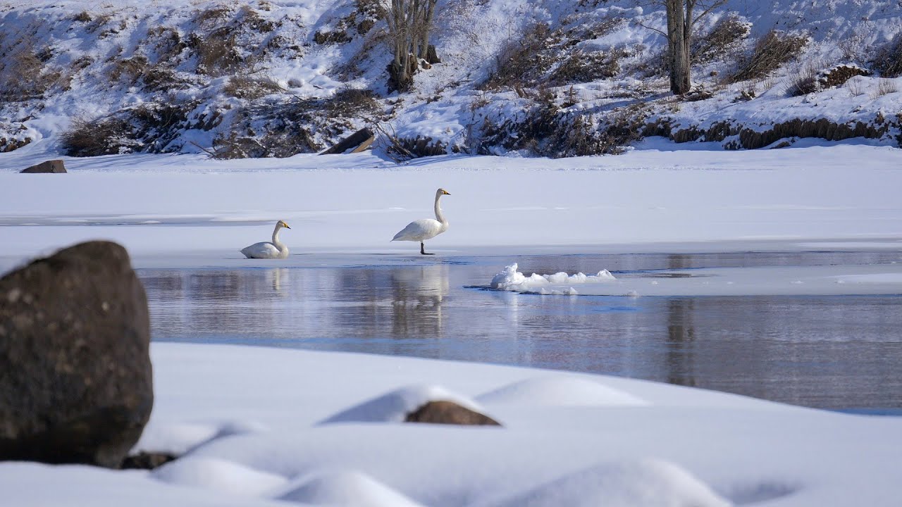 Объектив Panasonic Lumix G Vario 45-150mm f/4-5.6 Asph Mega OIS