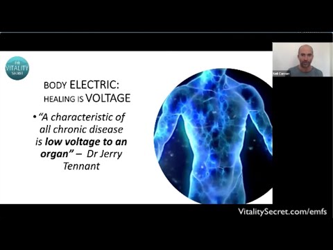 How Do Electromagnetic Fields Affect Our Body - METAL recording