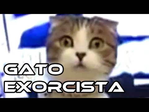 Gato exorcista