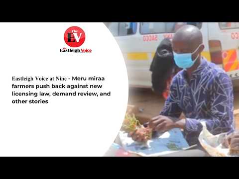 𝐄𝐚𝐬𝐭𝐥𝐞𝐢𝐠𝐡 𝐕𝐨𝐢𝐜𝐞 𝐚𝐭 𝐍𝐢𝐧𝐞 - Meru miraa farmers push back against new licensing law, demand review
