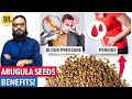 TARAMIRA BEEJ Ka SAHI Istamal Arugula Seeds For Blood Pressure Periods Diabetes Dr Ibrahim