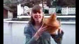 LAMA - Fashion Junior High