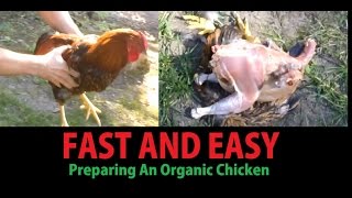 How To - Fast And Easy Way To Kill And Skin A Rooster -GRAPHIC-