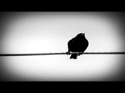 Marcel Khalife - Asfour