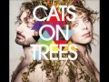 Cats On Trees Wichita 