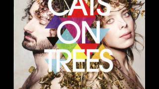 Cats On Trees   Wichita