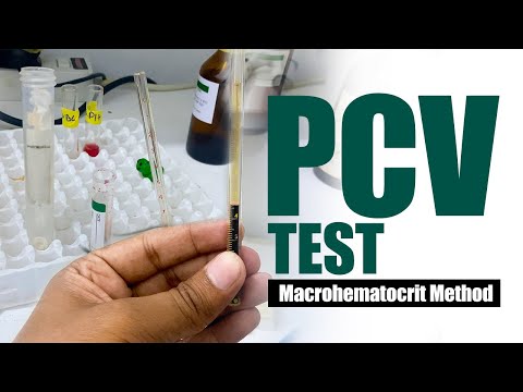 Packed Cell Volume Test ( PCV Test ) | Macrohematocrit Method | Wintrobe tube method