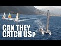 The ULTIMATE Tornado Vs Hobie 16 SHOWDOWN