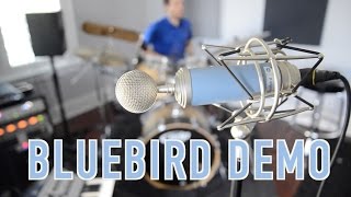 Video thumbnail for BLUE Bluebird Microphone Demo by Sean Daniel