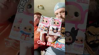 We Got The Last 2 Hello Kitty Hyojo's! #hellokitty