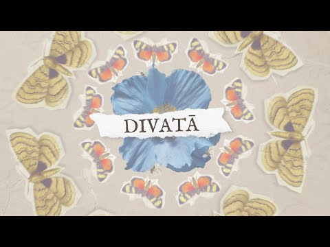 Dons - Divatā