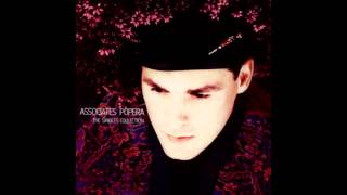 18 Carat Love Affair - The Associates