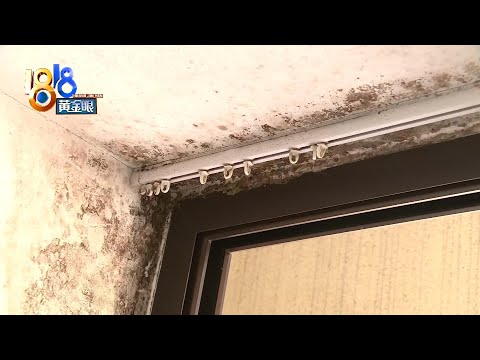 房子發黴