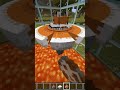 Minecraft 1 Chicken VS 1000 Foxes Shorts