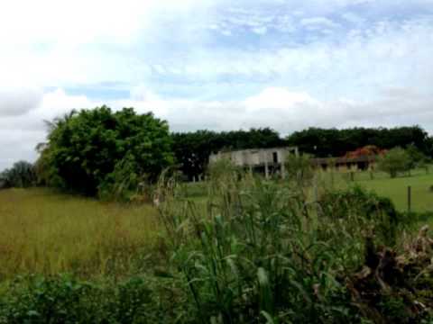 19980 SW 193 STREET,Miami,FL 33187 Commercial For Sale