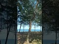 Teluk Bidara Dungun Sandy Beach 沙滩 바다 Malaysia