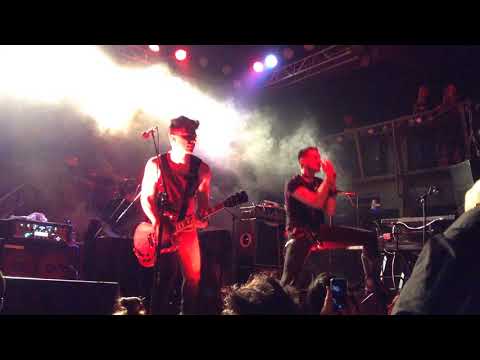 Thumbnail for PIG- Find It, Fuck It, Forget It- LIVE