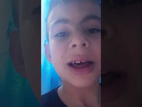 cantando a música do Paraná e Palmeiras e Corinthians e São Paulo e Atlético