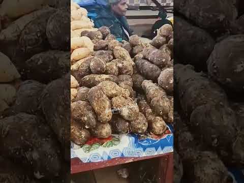 Thumbnail for full video coming soon#carnivalsplendoraustralia#carnivalsplendorsydney#carnivalsplendor