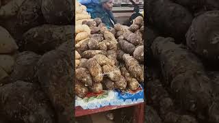 full video coming soon#carnivalsplendoraustralia#carnivalsplendorsydney#carnivalsplendor