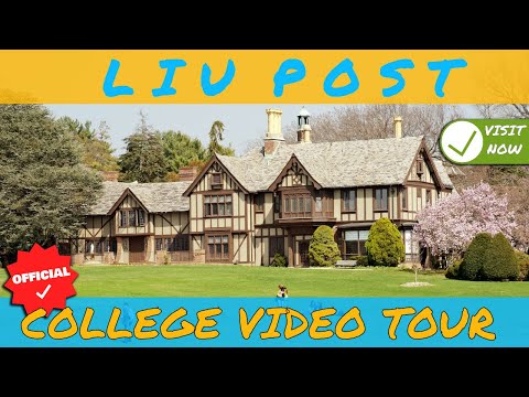 image-What is LIU Brooklyn known for?