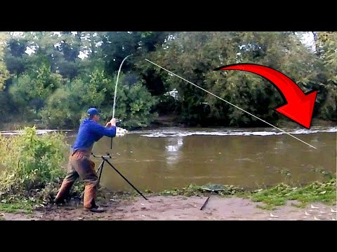 I COULDN'T BELIEVE HOW MANY WE CAUGHT