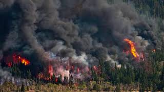 &quot; La terre meurt &quot; de Charles Aznavour reprise par Michael Asfahan