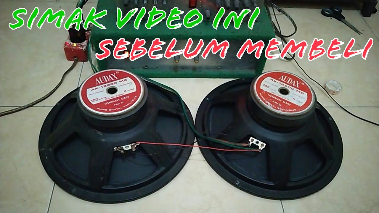 REVIEW speaker Audax 12