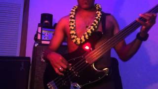MICHAEL FRANKS &quot;Woman In The Waves&quot; (bass cover)
