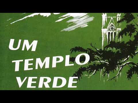 Um tempo que não volta mais 009